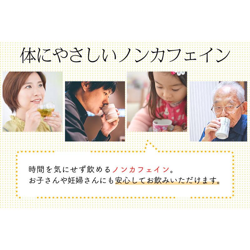 国産メグスリノキ茶 3袋セット 健康茶専門工場 |  | 03