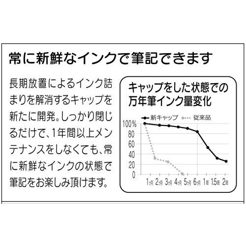 プラチナ万年筆 万年筆 プレジール 細字 ブラック PGB-1000#1-2｜alt-mart｜04