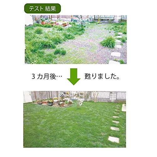 自然応用科学 芝生が! まくだけで甦る 土のリサイクル材 14L｜alt-mart｜05