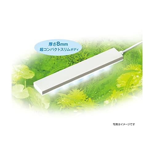 ジェックス GEX クリアLED フラッティ ホワイト スリム高輝度LED 40cm以下水槽｜alt-mart｜02