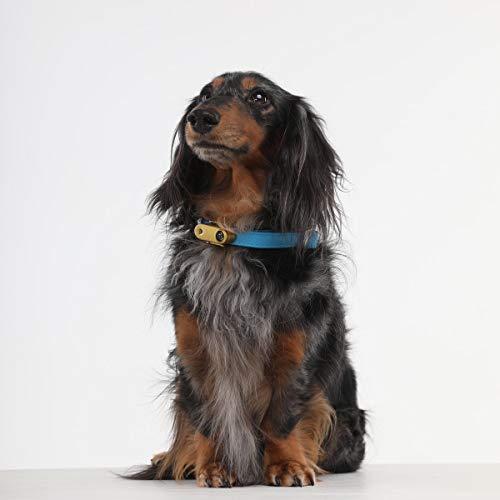 愛用 Usbグッズ ゴールド Usb ミニ Tickless チックレス 最愛 Ufa Number1 Com