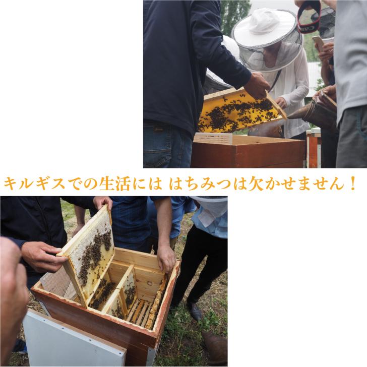 キルギスの白いはちみつ(エスパルセット） 500g ホワイトハニー 白い