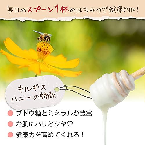 キルギスの白いはちみつ エスパルセット 500g ホワイトハニー 白いハチミツ 白い蜂蜜 B001 アルタイトレーディング 通販 Yahoo ショッピング