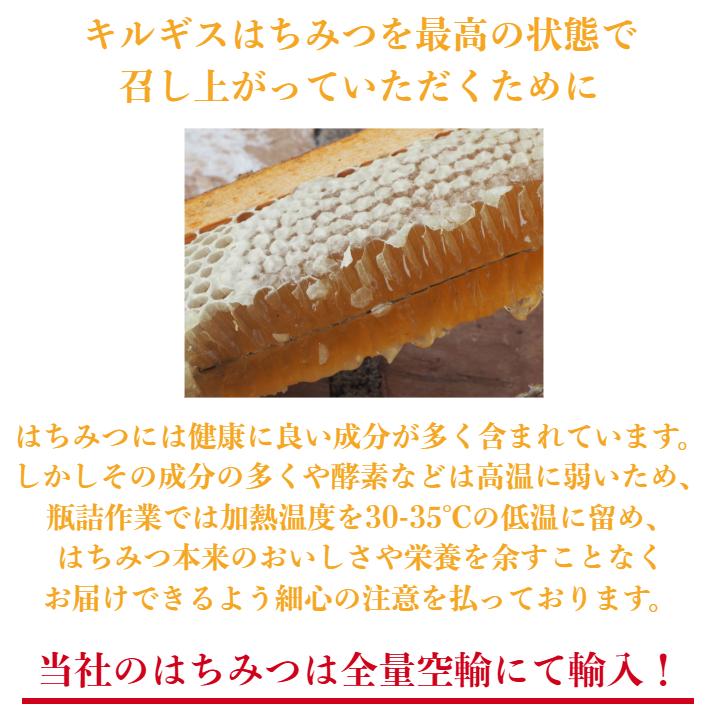 白いクリーム状結晶ハチミツ300g×3本 株式会社エコチャージジャパン キルギスの白いはちみつ 完全非加熱生