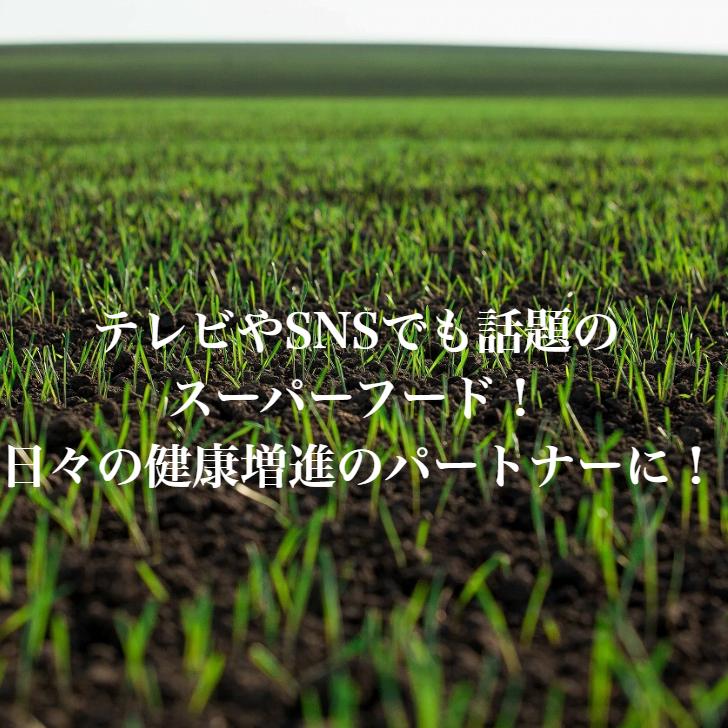 ロシア・アルタイ産 そばの実 800g 自社輸入 : アルタイ