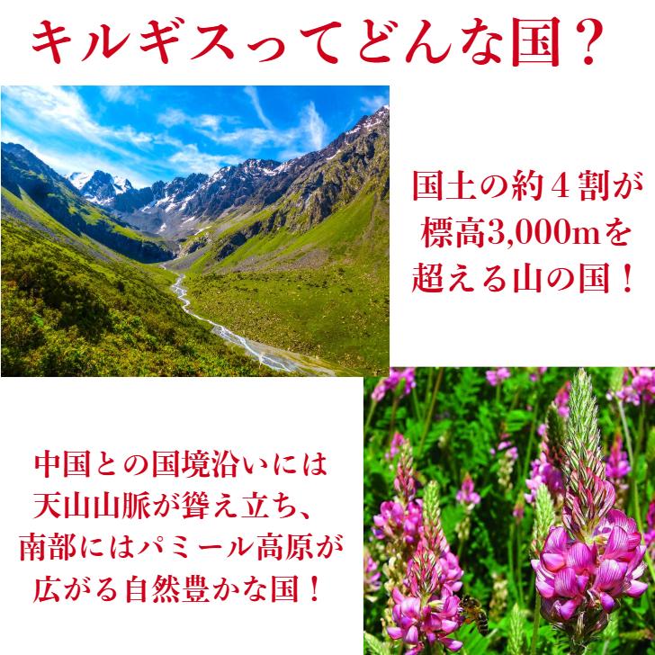 組み合わせ自由 キルギスはちみつ 500gx2個セット /白いはちみつ 森のはちみつ/ 送料無料 |  | 13