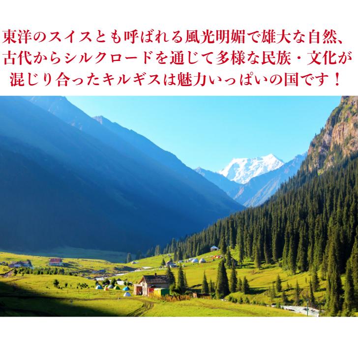 組み合わせ自由 キルギスはちみつ 500gx2個セット /白いはちみつ 森のはちみつ/ 送料無料 |  | 14