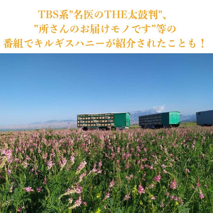組み合わせ自由 キルギスはちみつ 500gx2個セット /白いはちみつ 森のはちみつ/ 送料無料 |  | 09
