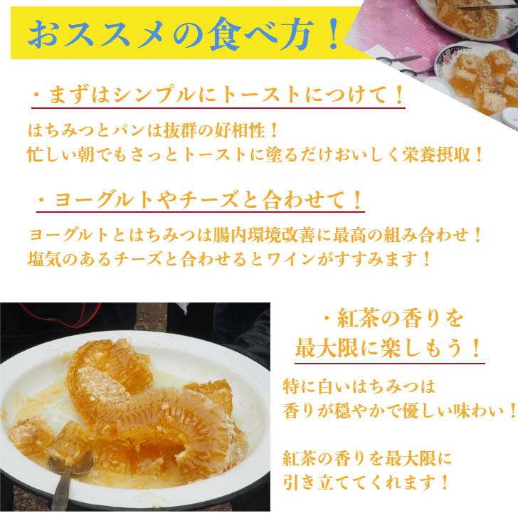 組み合わせ自由 キルギスはちみつ 500gx2個セット /白いはちみつ 森のはちみつ/ 送料無料 |  | 06