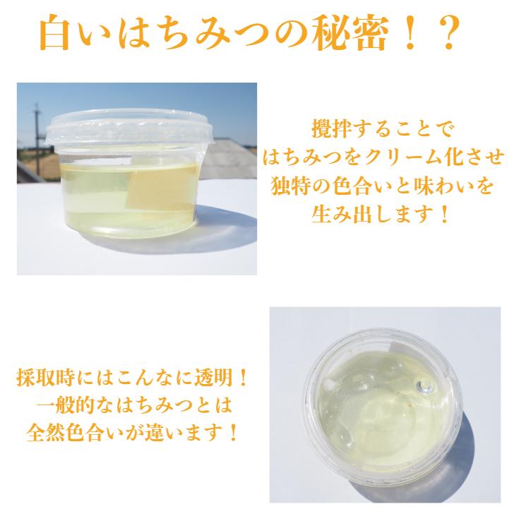 組み合わせ自由 キルギスはちみつ 500gx2個セット /白いはちみつ 森のはちみつ/ 送料無料 |  | 08