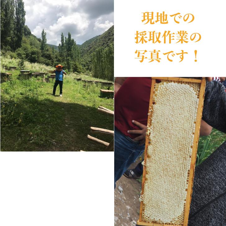 組み合わせ自由 キルギスはちみつ 500gx2個セット /白いはちみつ 森のはちみつ/ 送料無料 |  | 10