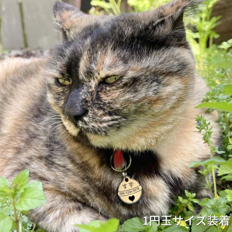 迷子札 2個セット（ドラすず）超軽量アクリル製 文字が消えないレーザー彫刻 犬用迷子札 猫用ネームタグ |  | 08