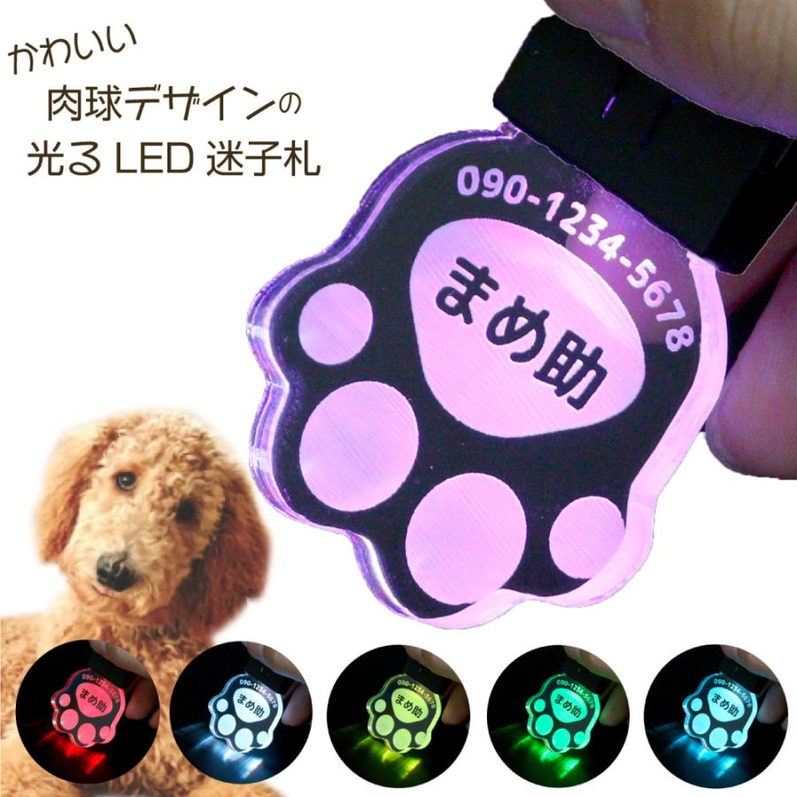 光る！迷子札（LED）7色変色 充電式 アクリル製 文字が消えない