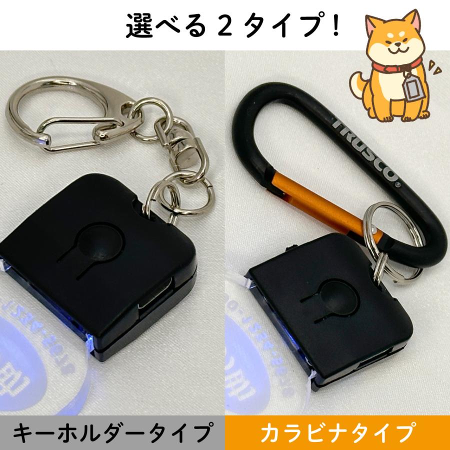 光る！迷子札（LED）7色変色 充電式 アクリル製 文字が消えない