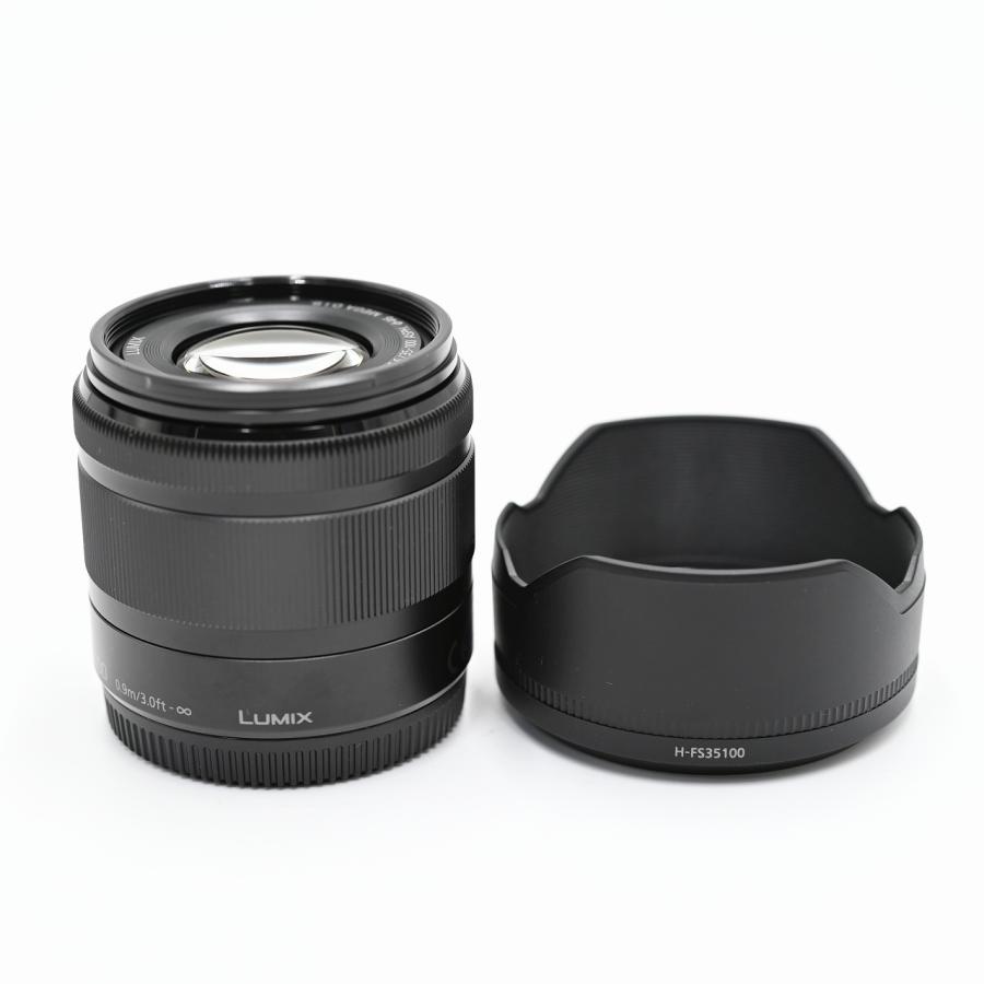 パナソニック Panasonic G VARIO 35-100mm F4.0-5.6 ASPH. MEGA O.I.S. ブラック H-FS35100-K 交換レンズ | 