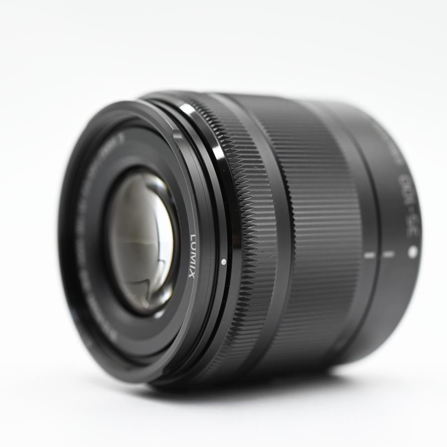 パナソニック Panasonic G VARIO 35-100mm F4.0-5.6 ASPH. MEGA O.I.S. ブラック H-FS35100-K 交換レンズ |  | 01