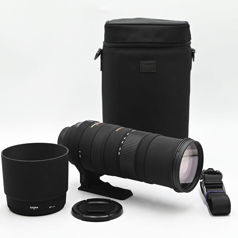 SIGMA シグマ 超望遠ズームレンズ APO 150-500mm F5-6.3 DG OS HSM ニコン用 交換レンズ | 