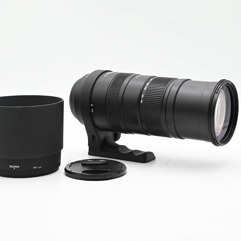 SIGMA シグマ 超望遠ズームレンズ APO 150-500mm F5-6.3 DG OS HSM ニコン用 交換レンズ | 