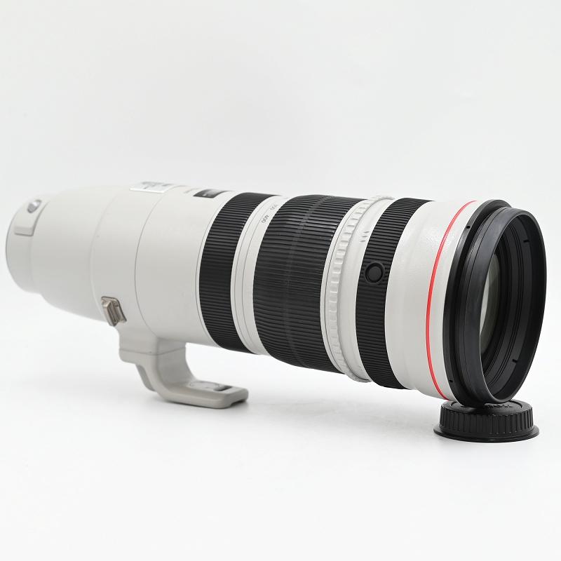 Canon キヤノン EF 200-400mm F/4 L IS USM Zoom Lens Extender 1.4 交換レンズ |  | 01