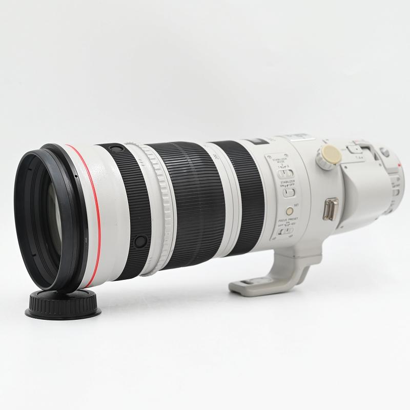 Canon キヤノン EF 200-400mm F/4 L IS USM Zoom Lens Extender 1.4 交換レンズ |  | 02