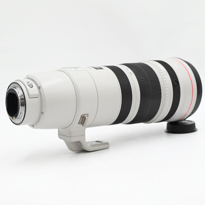 Canon キヤノン EF 200-400mm F/4 L IS USM Zoom Lens Extender 1.4 交換レンズ |  | 05