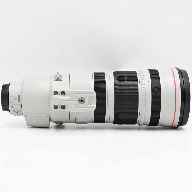 Canon キヤノン EF 200-400mm F/4 L IS USM Zoom Lens Extender 1.4 交換レンズ |  | 08