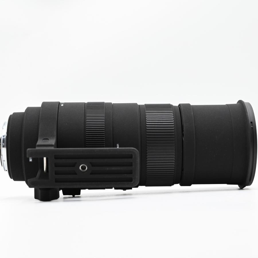 SIGMA 超望遠ズームレンズ APO 150-500mm F5-6.3 DG OS HSM キヤノン用 フルサイズ対応 737542 交換レンズ |  | 07