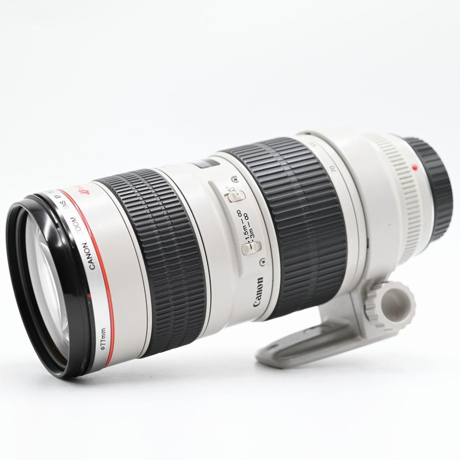 Canon 望遠ズームレンズ EF70-200mm F2.8L USM フルサイズ対応 交換レンズ｜altemoco｜03
