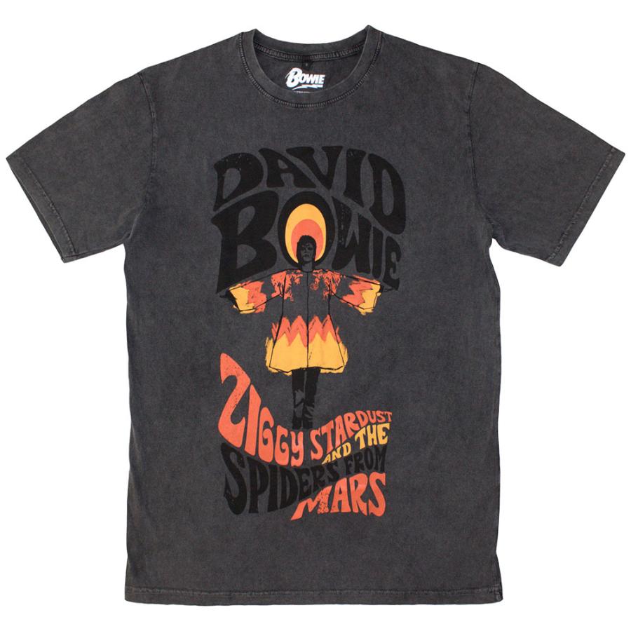 デヴィッド・ボウイ David Bowie ZIGGY STARDUST AND THE SPIDERS FROM
