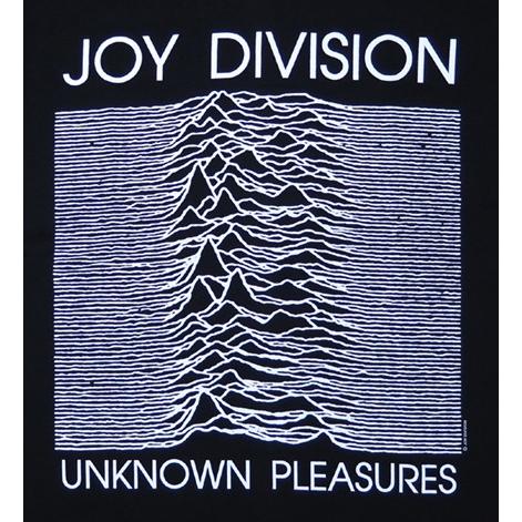 レア 貴重デザイン ジョイ・ディビジョン アンノウン・プレジャーズ Joy Division / ジョイ・ディヴィジョン「Unknown Pleasures