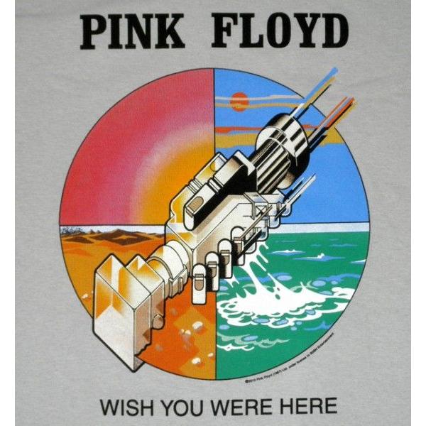 【土日も発送】 Tシャツ ピンク・フロイド あなたがここにいほしい PINK FLOYD WISH YOU WERE HERE バンド グレー メンズ｜alternativeclothing｜02