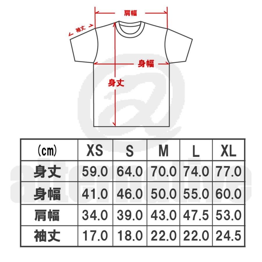 Tシャツ レッド・ホット・チリペッパーズ レッチリ ブラック 黒 RHCP
