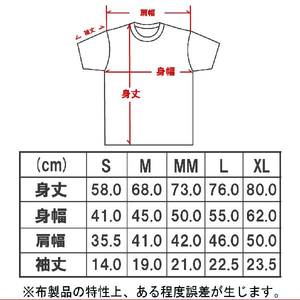 Tシャツ スレイヤー SLAYER DO NOT CROSS メンズ レディース ロック