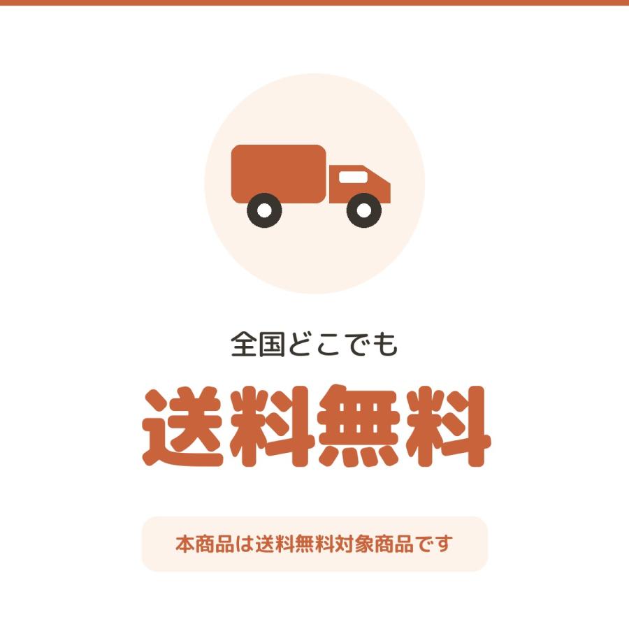 レミントン 膝サポーター ひざパワーウォーク Lサイズ 2枚入り 両ひざ