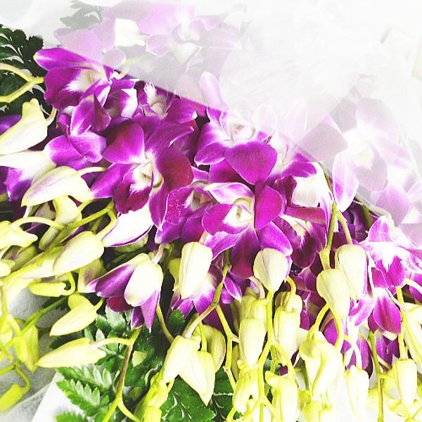 花束 デンファレ本 Bouquet001 バラ プレゼント アルトルミナーレ 通販 Yahoo ショッピング