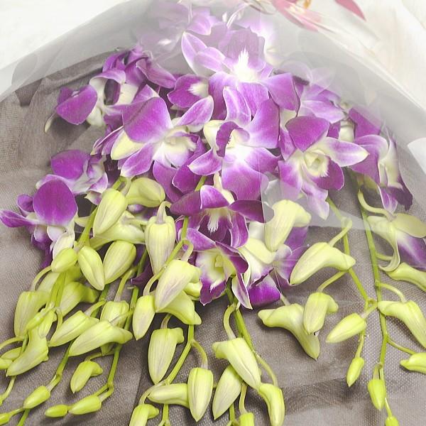 花束（デンファレ10本） :bouquet005:バラ プレゼント アルトルミナーレ - 通販 - Yahoo!ショッピング