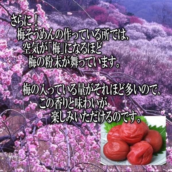 11周年記念イベントが 絶品 梅そうめん たっぷり1k 束 ギフト箱入 長崎島原手延べ素麺 Nerima Idc Or Jp