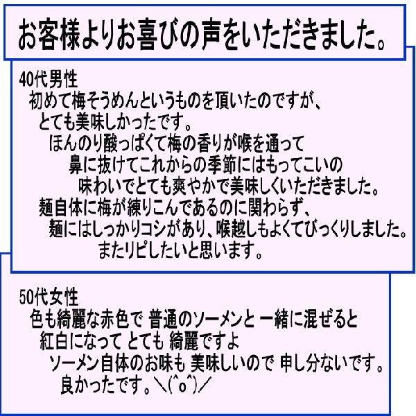11周年記念イベントが 絶品 梅そうめん たっぷり1k 束 ギフト箱入 長崎島原手延べ素麺 Nerima Idc Or Jp