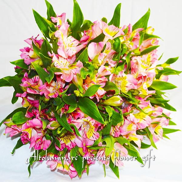 花束 アルストロメリアの花束 Ys Ba Ff Bu バラ プレゼント アルトルミナーレ 通販 Yahoo ショッピング