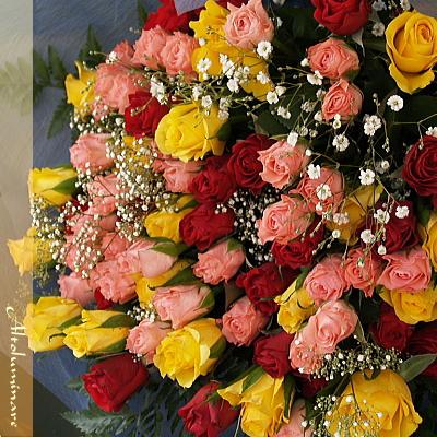 即日出荷 ミックスバラの花束 バラ100本のブーケ Ys Bt Bu Ff バラ プレゼント アルトルミナーレ 通販 Yahoo ショッピング 爆売り M Mahdi Net