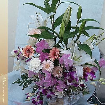 日本最大のブランド 季節のお花バスケットアレンジメント 超豪華 お見舞いアレンジメント お見舞いに最適なお花をクイックお届け 翌日配達 生花 Oyostate Gov Ng