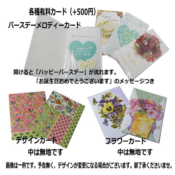 黄色バラ50本のブーケ_4