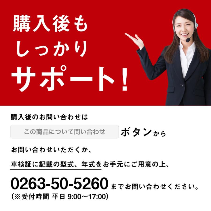 フォルクスワーゲン（Volkswagen） VW TVキャンセラー＆ デイライト