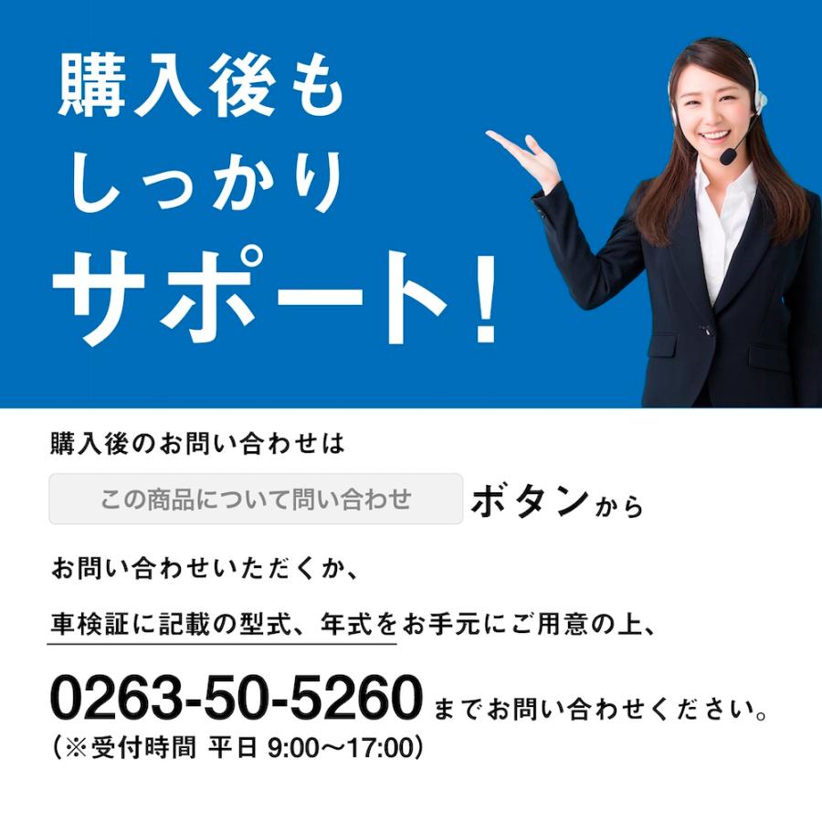 MINI（ミニ） BMW MINI ACEMAN エースマン (型式：J05) TVキャンセラー