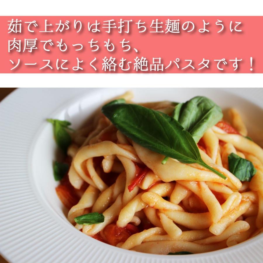 パスタ 乾麺 イタリア ショートパスタ Ligorio リゴリオ ストロッツァ
