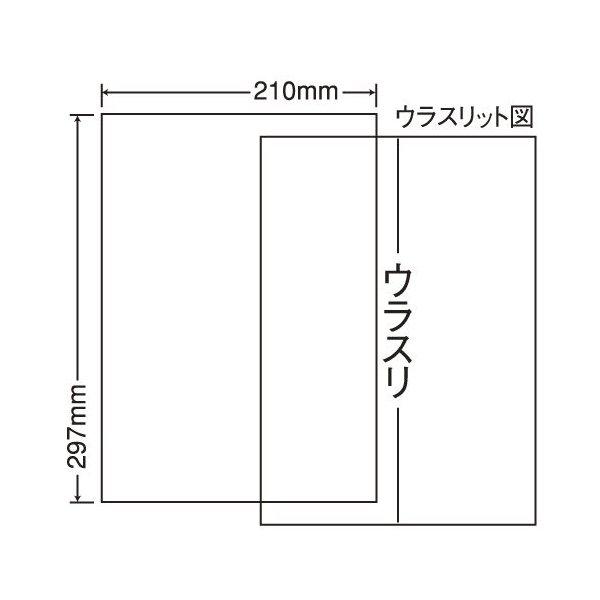 Burton ウェイブレンジ X Pro 25.5cm テラル シロッコファン CLF2-No.4-OB-D-e(3.7kW) (屋内仕様) (防振床