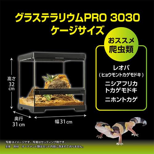 エギゾテラ　GEXグラステラリウム PRO 3030 GEX エキゾテラ グラステラリウム PRO 3030 爬虫類 ケージ