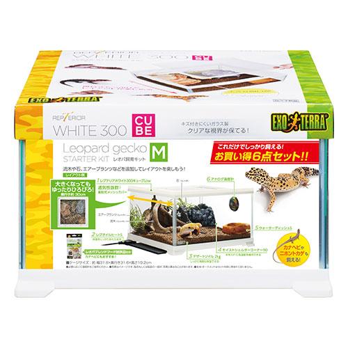 爬虫類飼育用備品セット GEX ジェックス レオパ飼育キット M ヒョウモントカゲモドキ