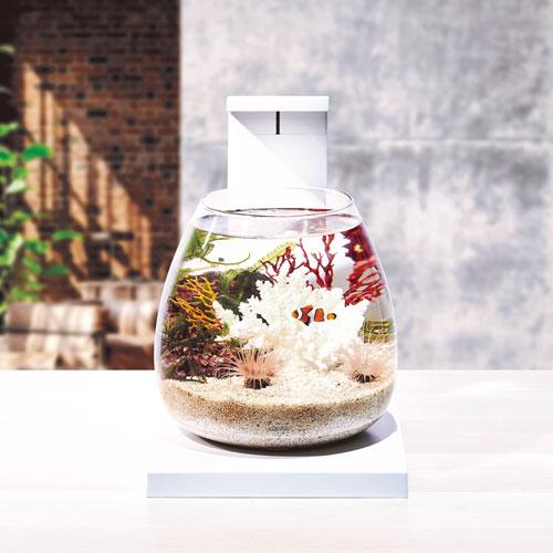 濾過槽一体型水槽（淡水、海水可）