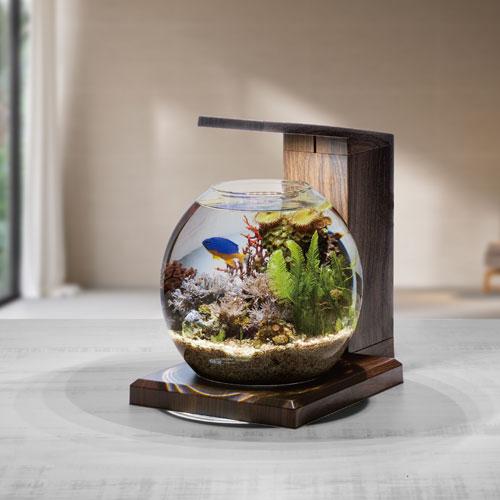 GEX（ジェックス） グラスアクア PERCO B‐Dark Wood オールインワン